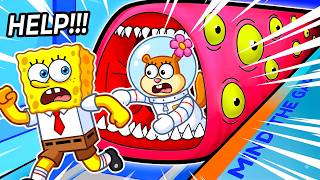 SPONGEBOB and SANDY Board the Wrong GHOST SHIP...😰 Sponge Fanz