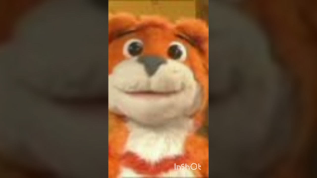 Tigs' Digiview Productions