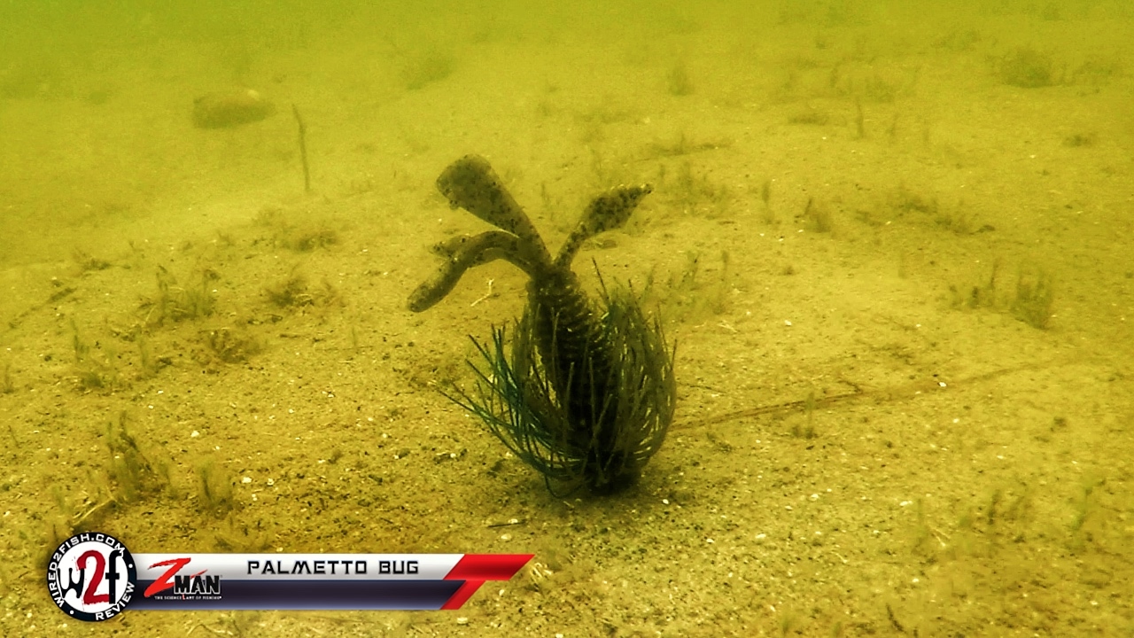 Z-Man Palmetto Bug Underwater Video 