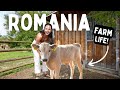 LIFE ON A ROMANIAN VILLAGE FARM (The Romania You&#39;ve Never Seen)