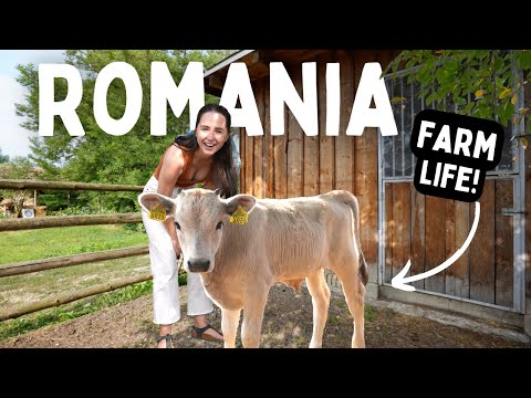 LIFE ON A ROMANIAN VILLAGE FARM (The Romania You've Never Seen)