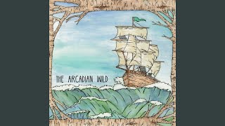 Video thumbnail of "The Arcadian Wild - The Anthem of Mr. Dark"