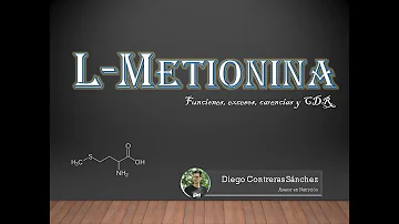 ¿Qué es metionina y su función?