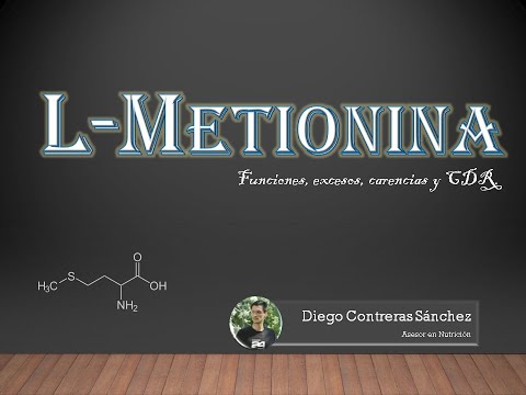 La Metionina [Aminoácido esencial]: Funciones. Excesos. Carencias y CDR