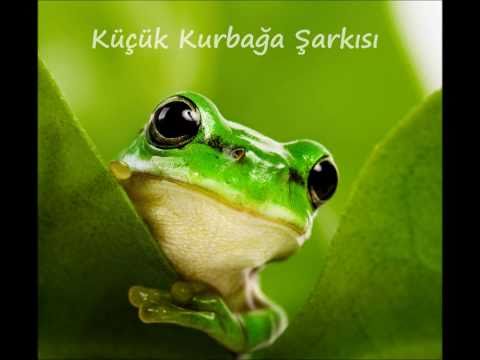 Küçük Kurbağa Çocuk Şarkısı (Little Frog Song)