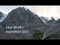 Altai dendro expedition