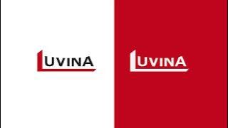 Luvina Software's New Brand Guidelines 2024