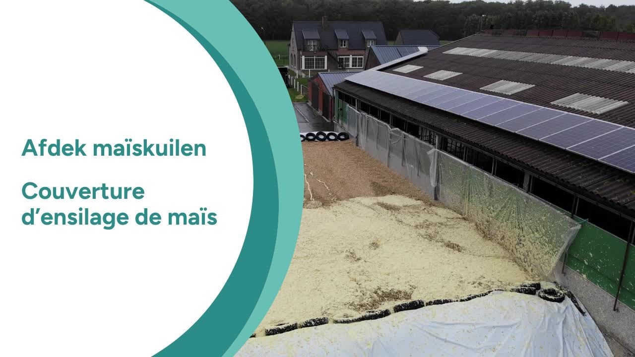 𝐓𝐰𝐞𝐞 𝐦𝐚ï𝐬𝐤𝐮𝐢𝐥𝐞𝐧 𝐚𝐟𝐝𝐞𝐤𝐤𝐞𝐧 𝐦𝐞𝐭 𝐚𝐚𝐫𝐝𝐚𝐩𝐩𝐞𝐥𝐩𝐫𝐨𝐝𝐮𝐜𝐭 – 𝐂𝐨𝐮𝐯𝐞𝐫𝐭𝐮𝐫𝐞 𝐝𝐞 𝐬𝐢𝐥𝐨𝐬 𝐝𝐞 𝐦𝐚ï𝐬 𝐚𝐯𝐞𝐜 𝐝𝐞 𝐩𝐨𝐦𝐦𝐞𝐬 𝐝𝐞 𝐭𝐞𝐫𝐫𝐞