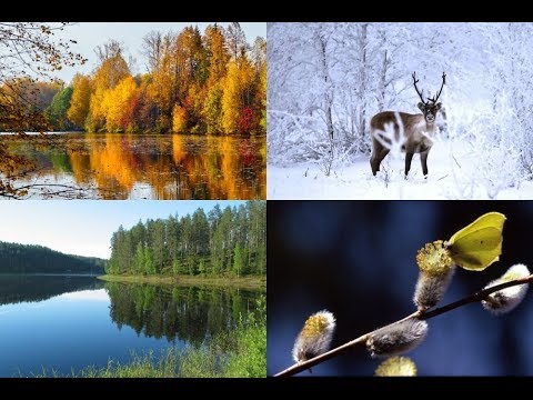 Video: Punainen Kesä Ranskassa