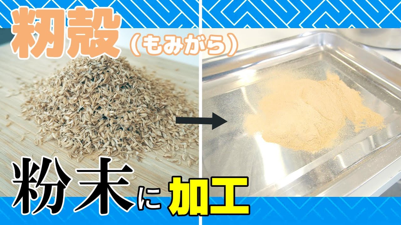 【肥料や再利用化などに】籾殻(もみがら)を卓上粉砕機で粉砕しパウダー加工しました - YouTube