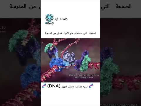 عملية تضاعف الحمض النووي 