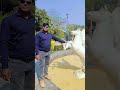 srishti coaching classes