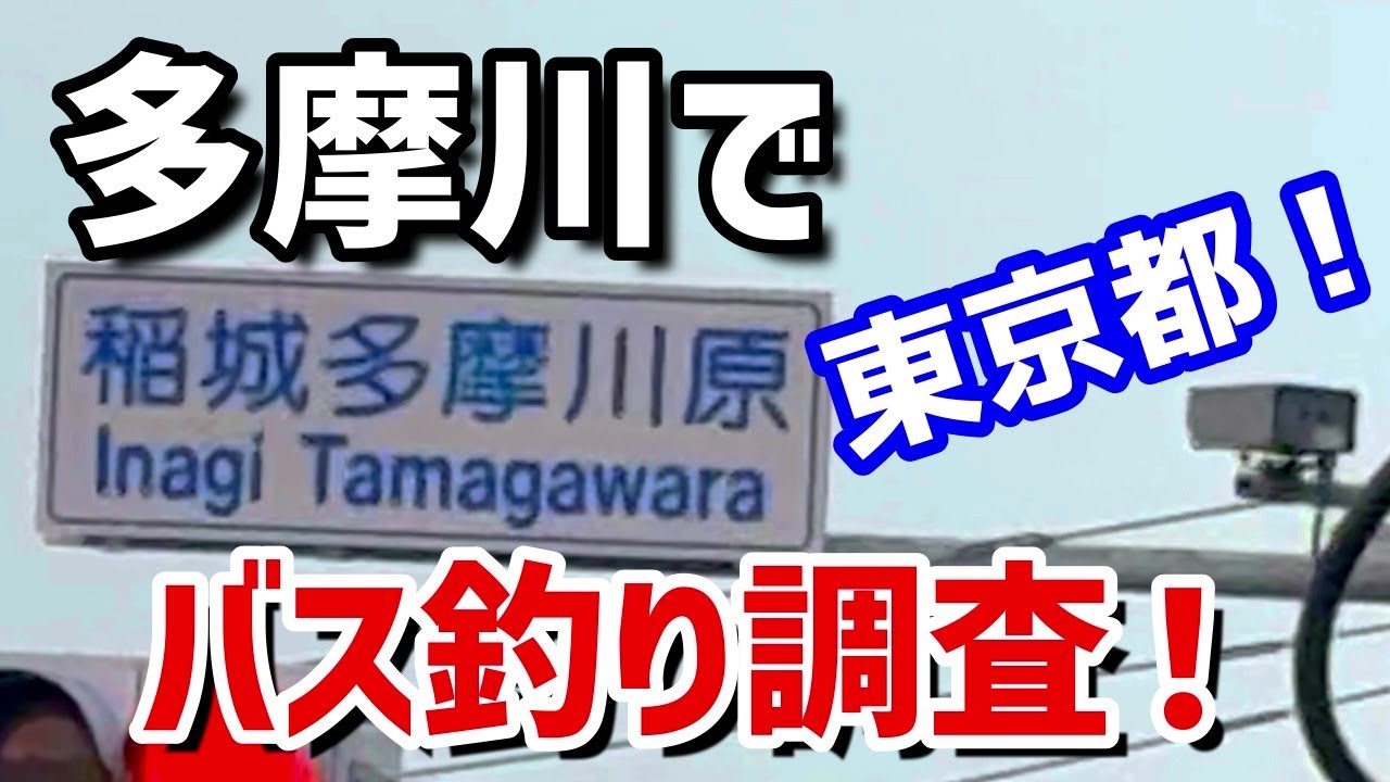 【多摩川】東京都でバス釣り調査！