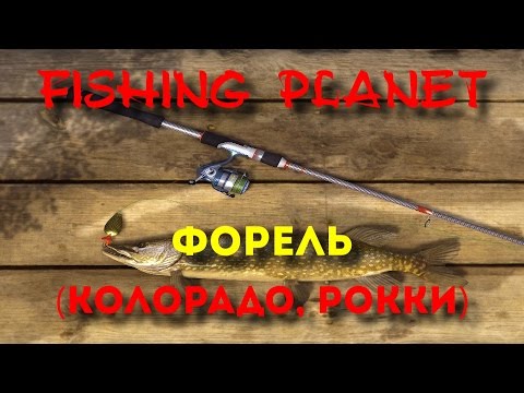 fishing planet ловля форели колорадо