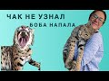 Чак забыл маму, Боба нападает / Chuck forgot his mom, Bobochka attacks