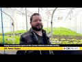 There's new growth at this former Alberta cannabis facility