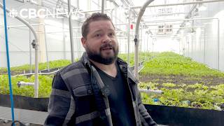 There's new growth at this former Alberta cannabis facility
