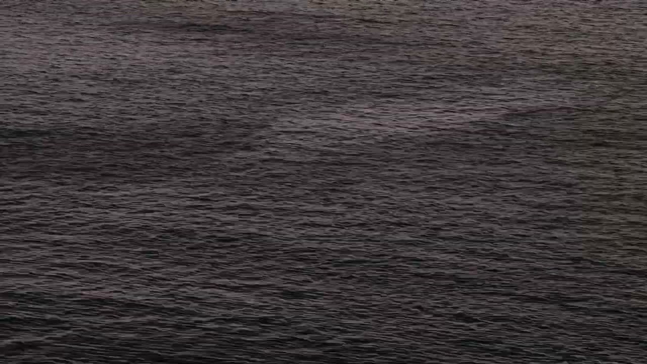 Tim Mann - Magic Pill