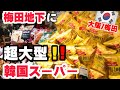 【大阪/梅田】梅田地下に超大型韓国スーパー⁉️韓国食品大集合‼️🇰🇷インスタで最近人気の韓国料理店もここに集合‼️LUCUA地下/コッキオ/TORAJI
