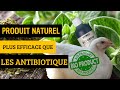 Je donne un produit naturel aux poulets  4me jour