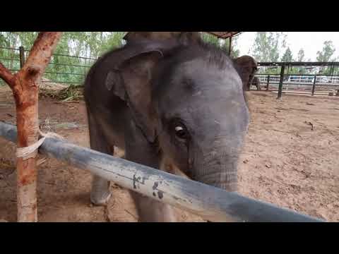 ผลสลากกินแบ่งรัฐบาล วันที่ 1 พย. 2567