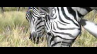 Afrika - E3 2K6 Trailer (Gametrailers Footage)