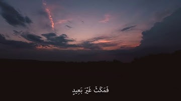 وَتَفَقَّدَ الطَّيْرَ - القارئ أحمد رأفت