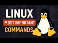 Linux Commands You MUST Know in 7 Minutes.! (for beginners).