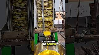 Avez-Vous Déjà Vu Un Pressoir À Huile En Action ?