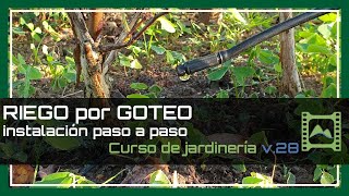 Cómo INSTALAR 🛠 un sistema de RIEGO por GOTEO 💦🌱 Capítulo 28 - Curso básico de Jardinería 2020 | LdN