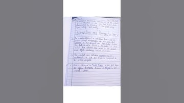 C.P lab manual mathematics Activity 2.Class 7