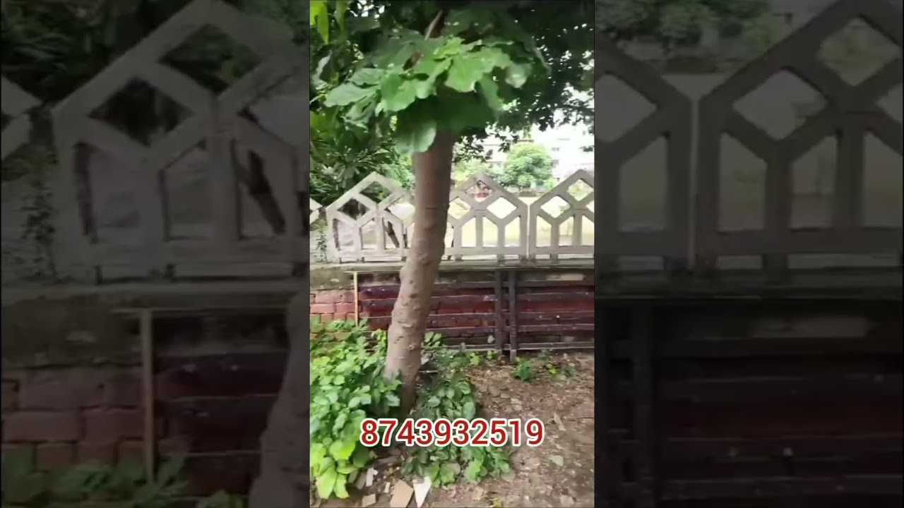 60 meter घर omicron greater Noida 76 lakh 