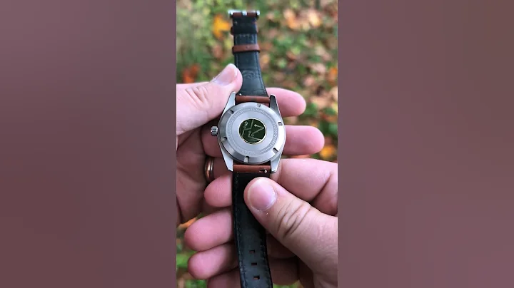 HZ Watches HZ.01 One Year of Use Quick Look