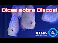 Dicas sobre acar disco com renato munhoz