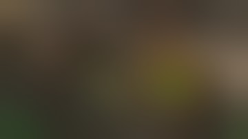 C&C Renegade in 2020: Walls Flying (MPF version)