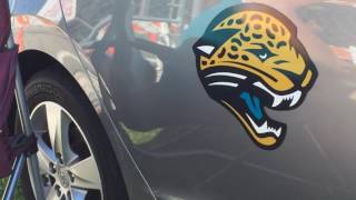 Jim's Magnetic Jaguar Background