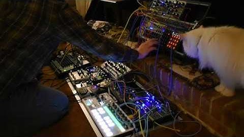 yodice- stressfest [Pittsburgh Modular Lifeforms, Microvolt, Moog DFAM, Make Noise modules]