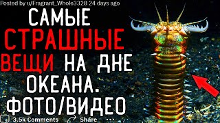 видео: Какую Самую СТРАШНУЮ ВЕЩЬ На Дне вы видели? (Фото/видео) картинка: Какую Самую СТРАШНУЮ ВЕЩЬ На Дне вы видели? (Фото/видео)