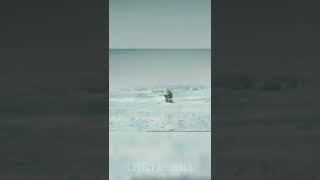 Killer Whale eats man ice fishing #shorts #shortvideos #whale #fishing Resimi