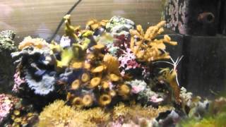 DSCF7178.AVI