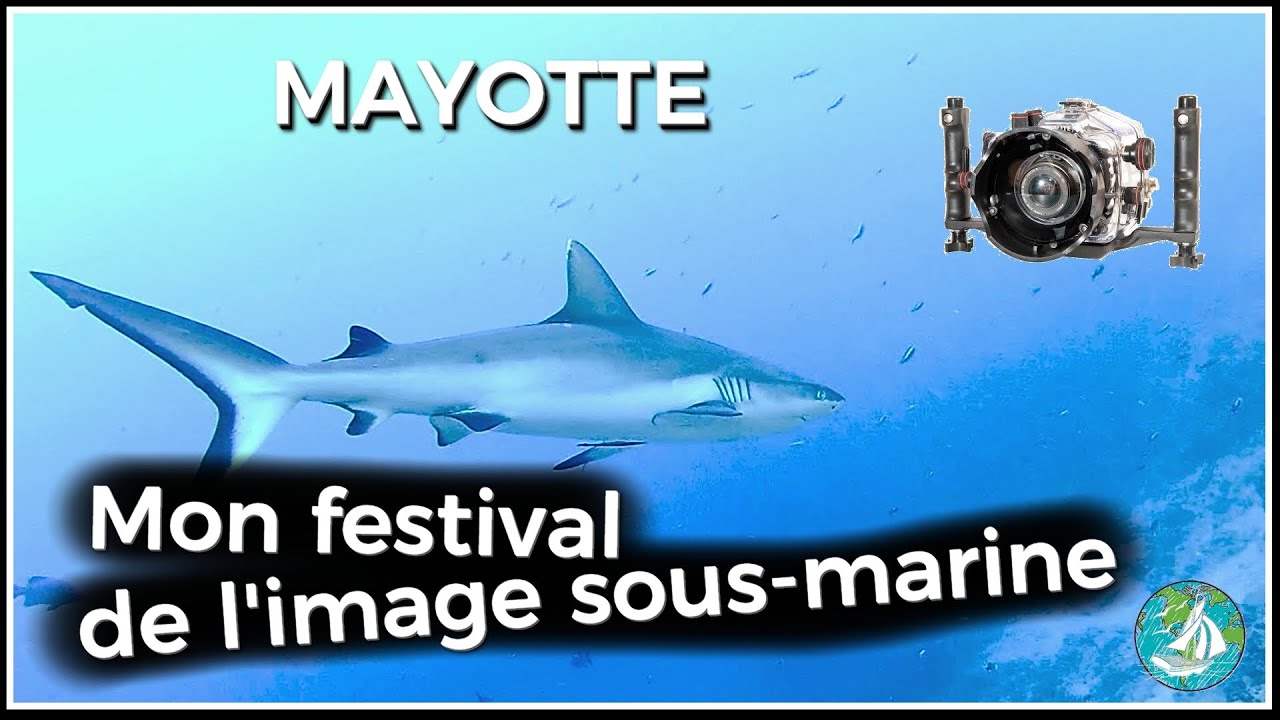 Mon festival de l'image sous-marine - MAYOTTE