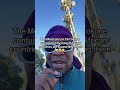 Why Are African Countries Supporting Mexicans? TikTokers Are Asking
