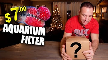 The ultimate aquarium filter for $7! (NOT CLICKBAIT) THE KING OF DIY