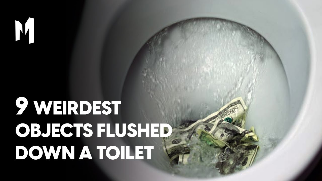 9 Weirdest Objects Flushed Down A Toilet YouTube
