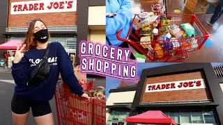 grocery shopping adventures at trader joe's! vlogmas day 13