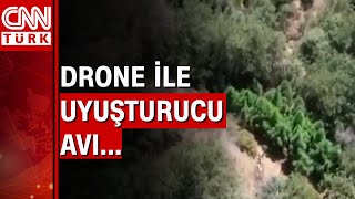 Dağ Başında Kurulan Hint Keneviri Tarlası Drone Ile Böyle Tespit Edildi