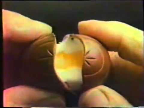 【口痕影片】1987   吉百利咯咯蛋 廣告