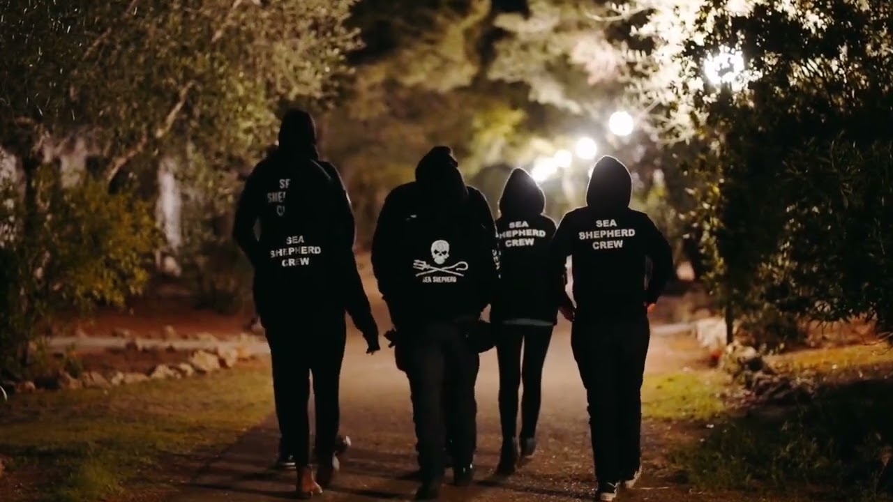 Consorzio di Gestione e Sea Shepherd Italia uniti per proteggere Torre Guaceto: fermati bracconieri