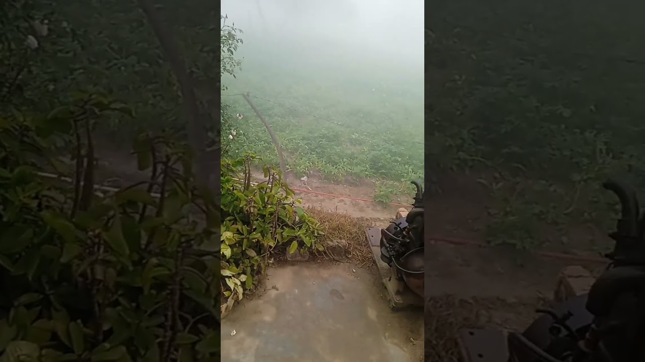 kon sa gana hai bato 