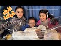 وأخيرا فلوق ولادة ابني الرابع في كندا ردة فعل الأولاد لما شافوا خيهم لأول مرة وأخيرا فلوق ولادة ابني الرابع في كندا ردة فعل الأولاد لما شافوا خيهم لأول مرة